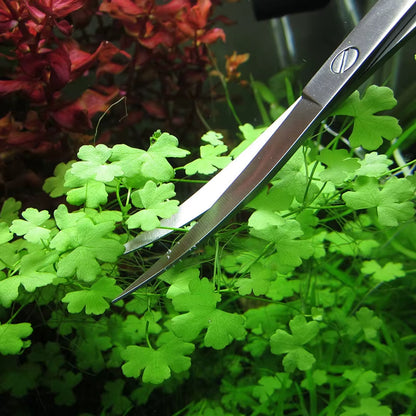 Aquarium Accessories Hard Stainless Steel Aquarium Tool Scissor Tweezers Plants Wave Scissors Fish Tank Shovels Cleaner Supplies