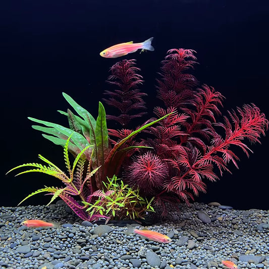 Artificial Aquarium Decor Plants Plastic Aquatic Plants Underwater Plants Aquarium Accessories Decoration Piante Acquario