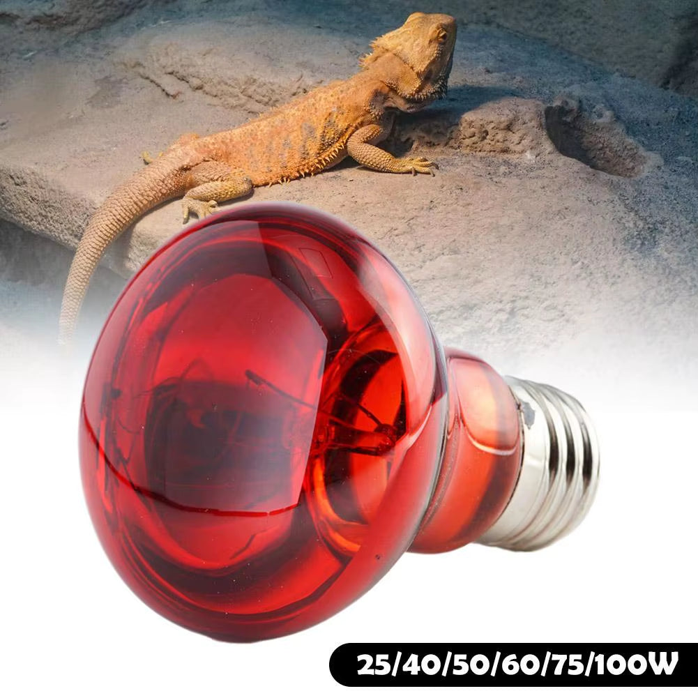 Pet Heating Lamp UVA Day Night Amphibian Amphibian Snake Lamp Heat Reptile Bulb Light Heat Reptile Bulb 25/50/75/100W 220-240V