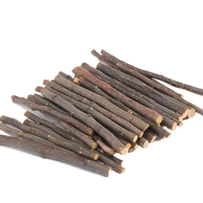 Professional Hamster Rabbit Teeth Grinding Apple Tree Stick Minerals Molar Stone Toys for Chinchilla Hamster Pettoys Accessories