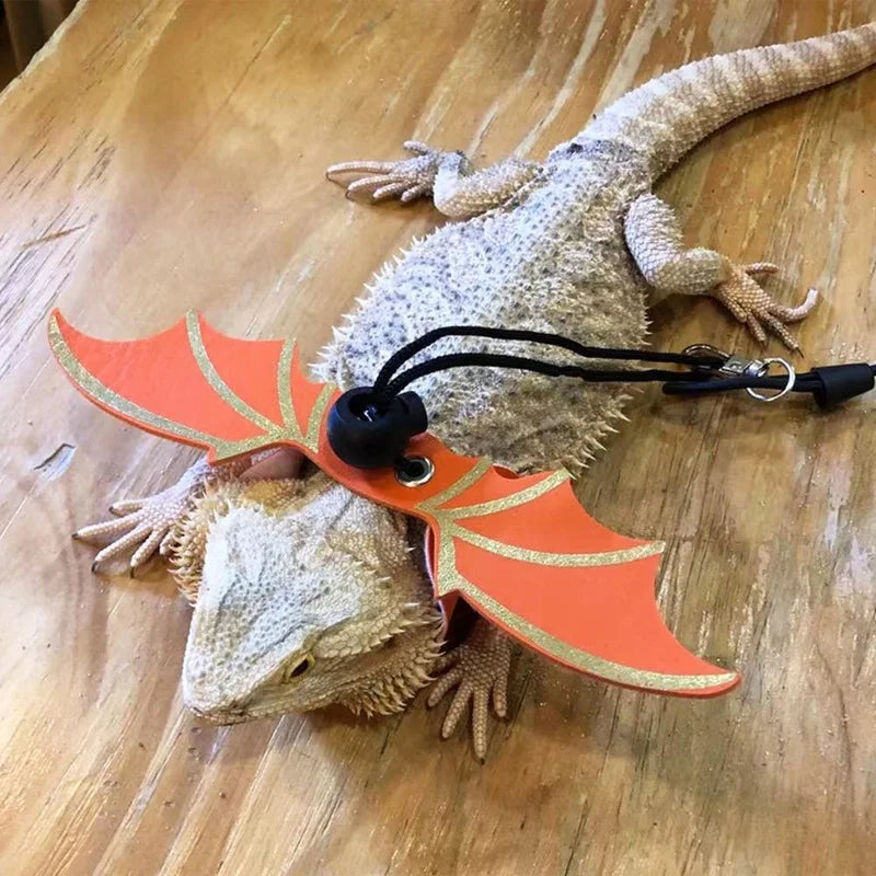 2022 New 3 Pcs Adjustable Bearded Dragon Leash with Bat Wings Soft Leather Lizard Harness for Amphibians and Other Small Reptile