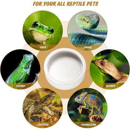 Reptile Food Bowl Feeding and Watering Bowl Anti-Escape Ceramic Feeding and Watering Bowl Anti-Escape Super Worm Feeder