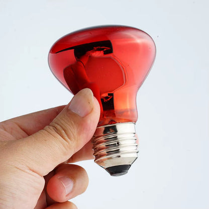 Pet Heating Lamp UVA Day Night Amphibian Amphibian Snake Lamp Heat Reptile Bulb Light Heat Reptile Bulb 25/50/75/100W 220-240V